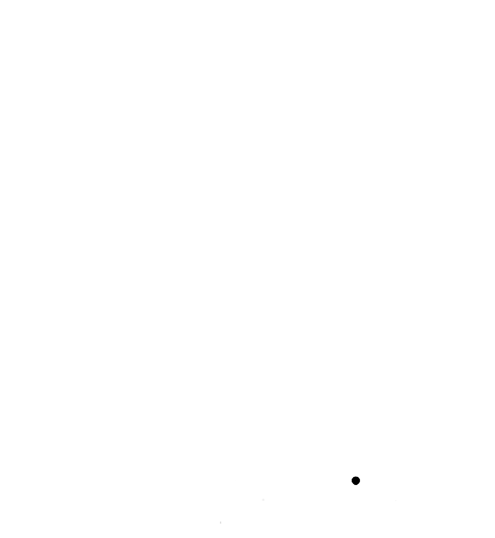 Nasrin Nejatiyan